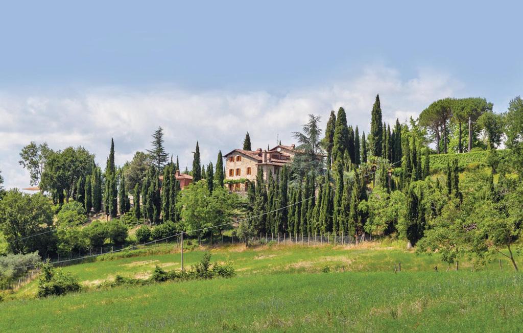 Photo of Others in Sansepolcro