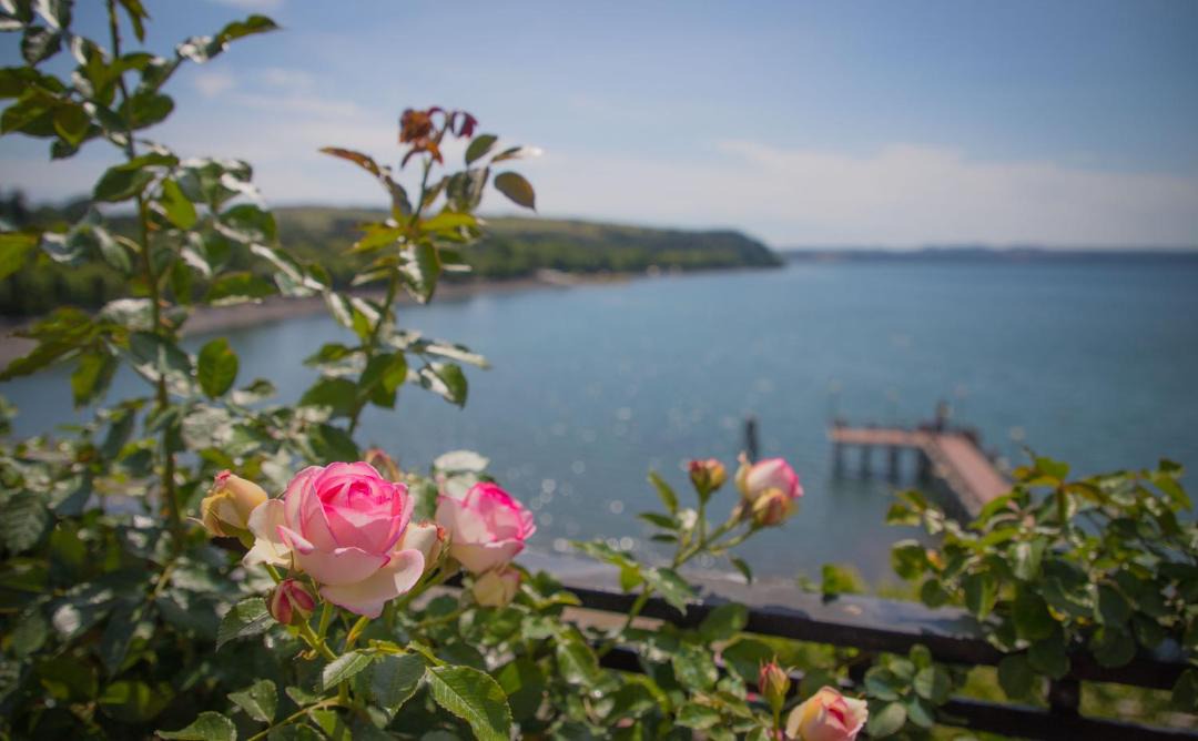Photo of Outdoor in Lake Bracciano