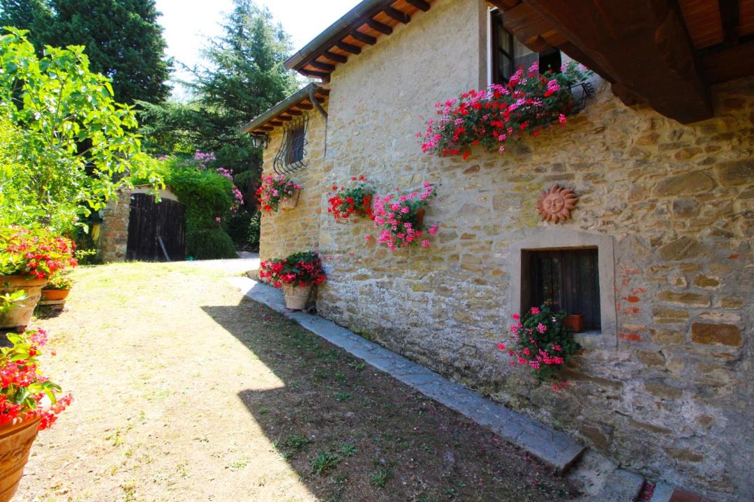 Photo of Others in Monte San Savino