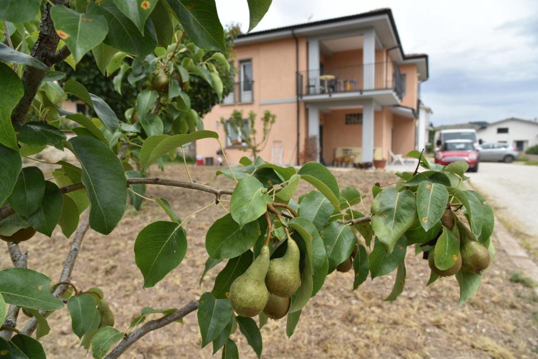 Photo of Others in Barisciano