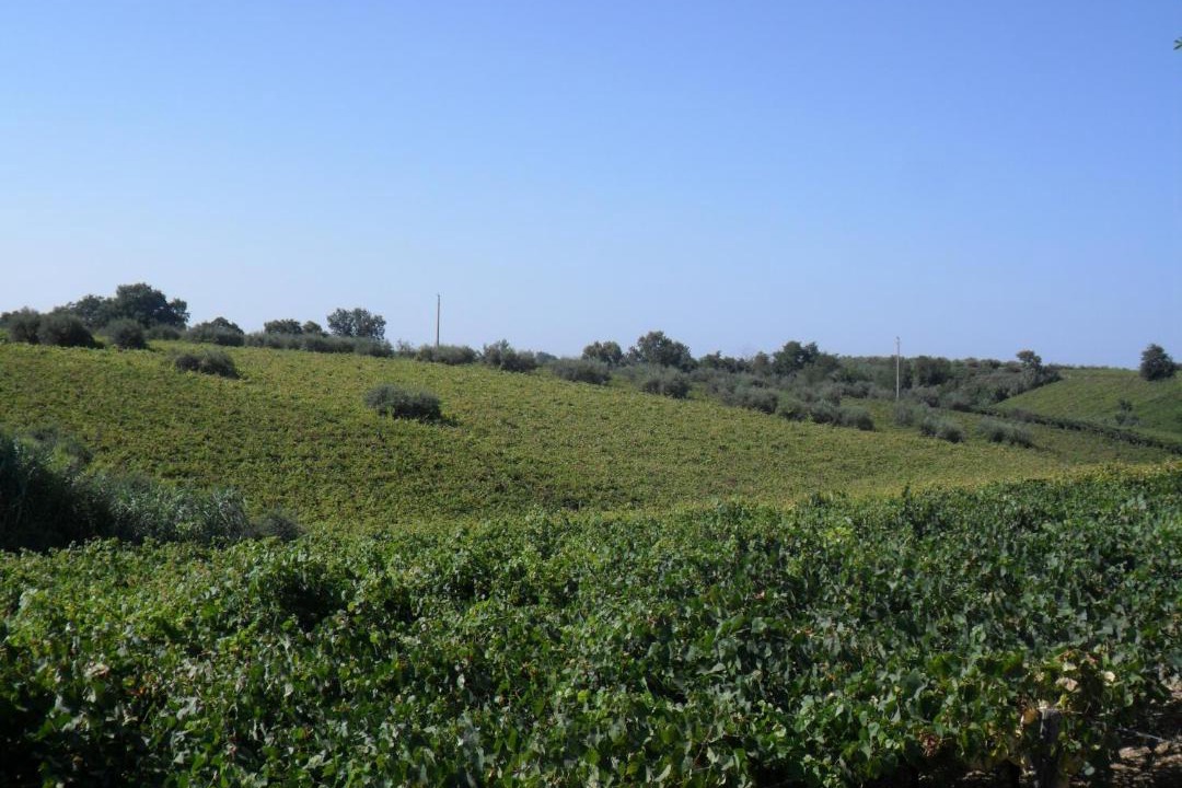 Photo of Others in Crecchio