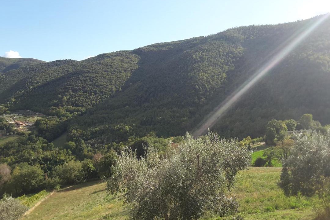 Photo of Others in Narni