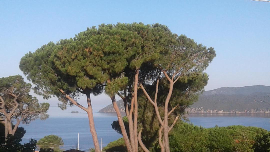 Photo of Outdoor in Capoliveri