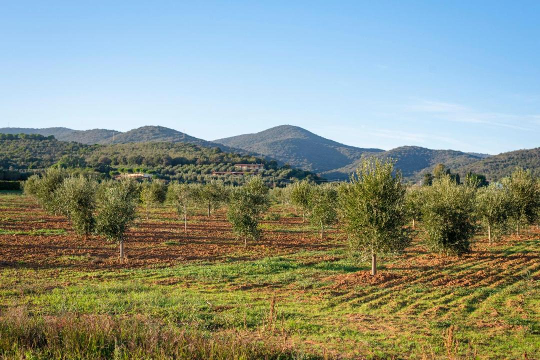 Photo of Others in Pian di Rocca