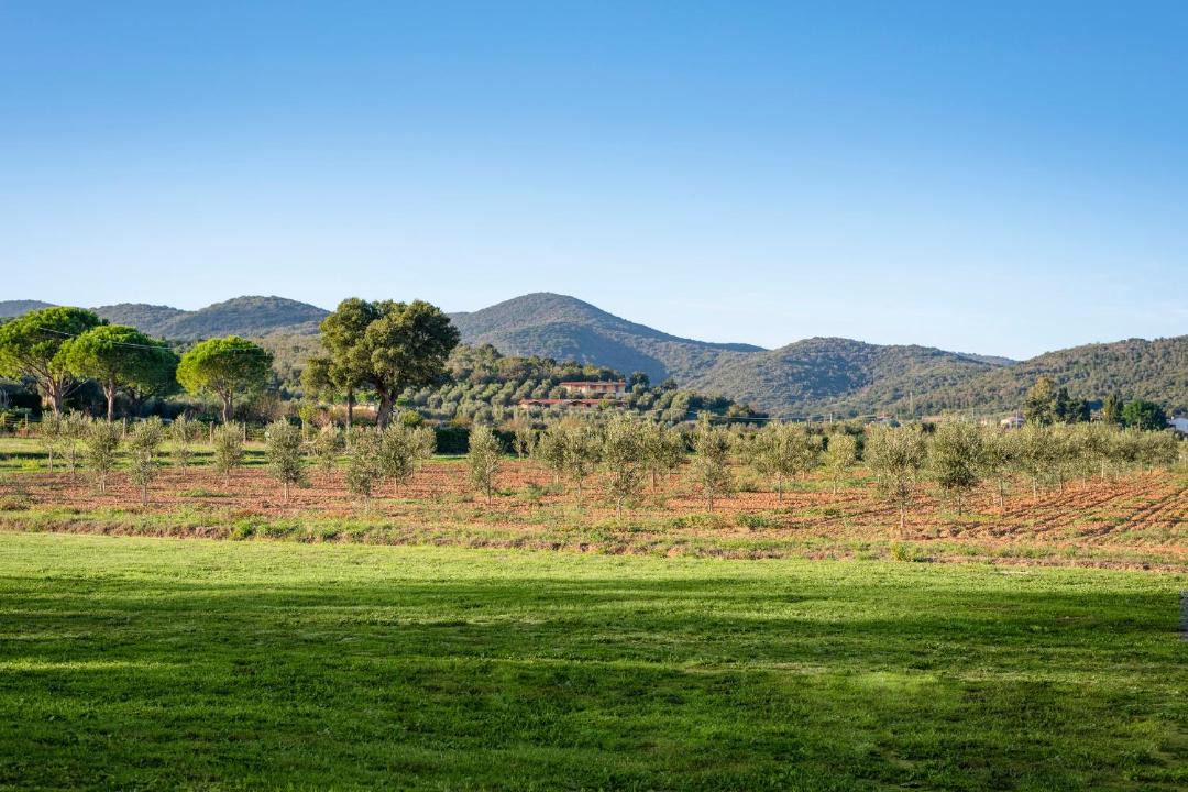 Photo of Others in Pian di Rocca