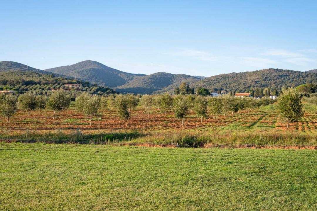 Photo of Others in Pian di Rocca