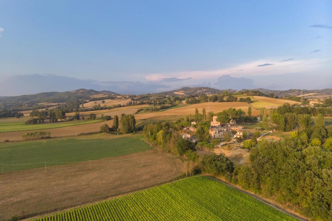 Photo of Others in Montone