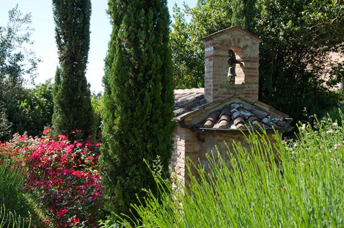 Photo of Others in Montepulciano