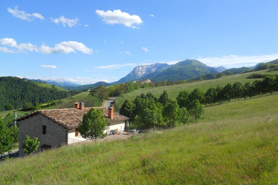 Photo of Others in Montemonaco