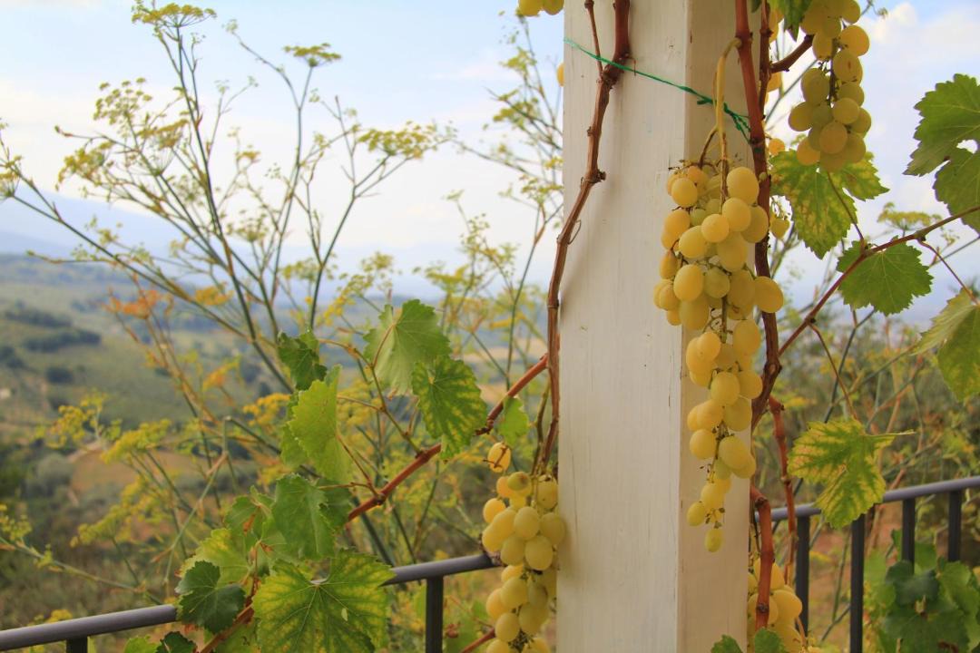 Photo of Others in Spello