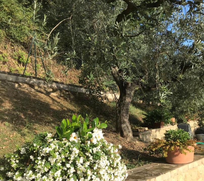 Photo of Others in Montefalco