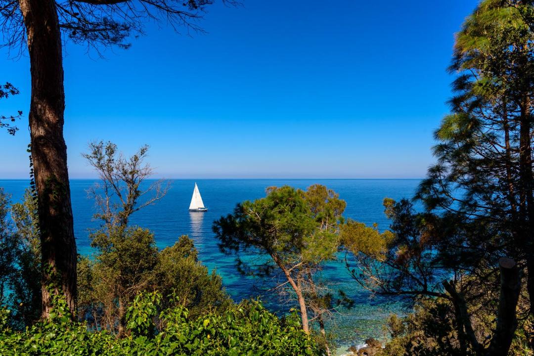 Photo of Others in Portoferraio