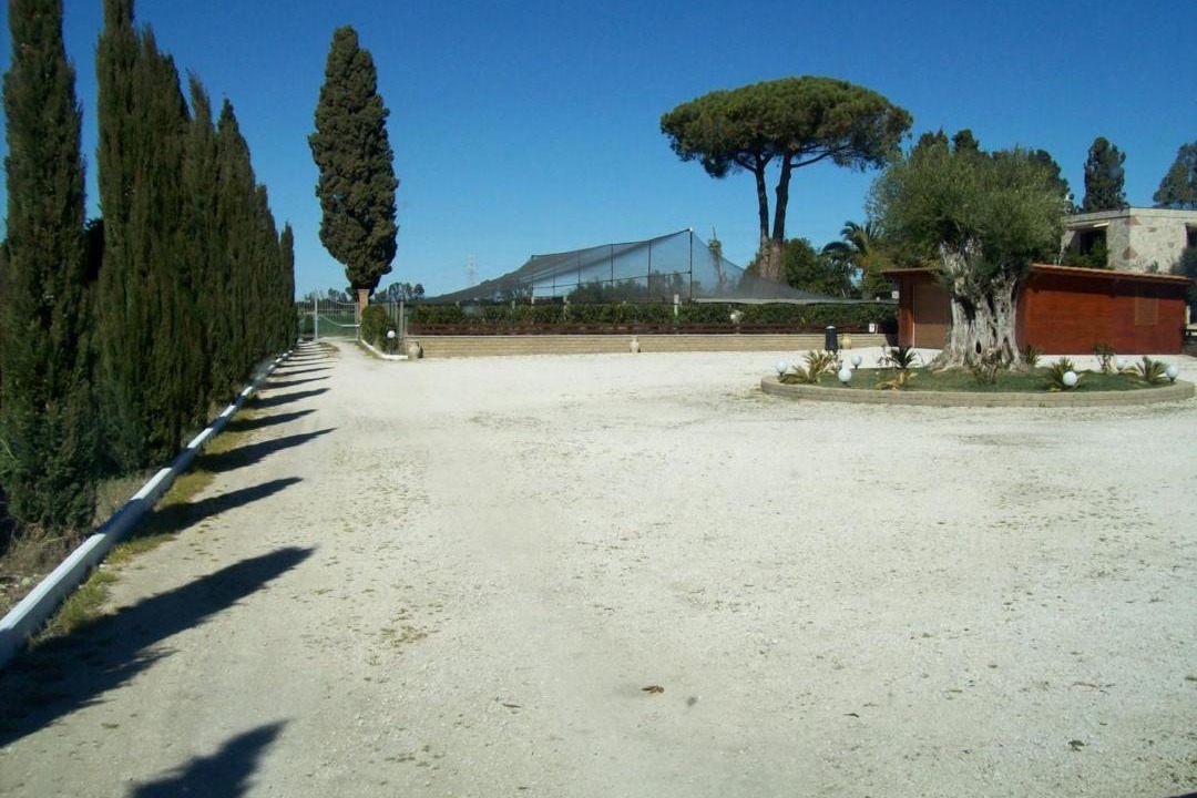 Photo of Others in Tarquinia