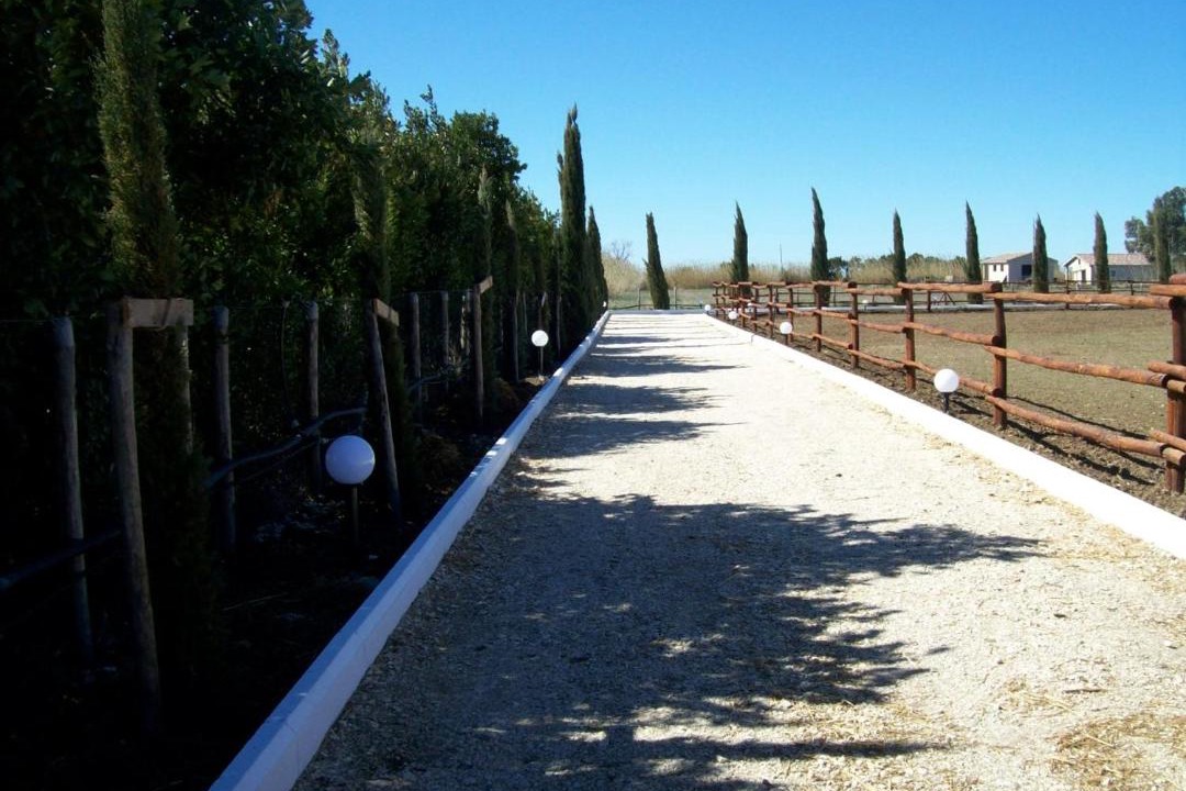 Photo of Others in Tarquinia