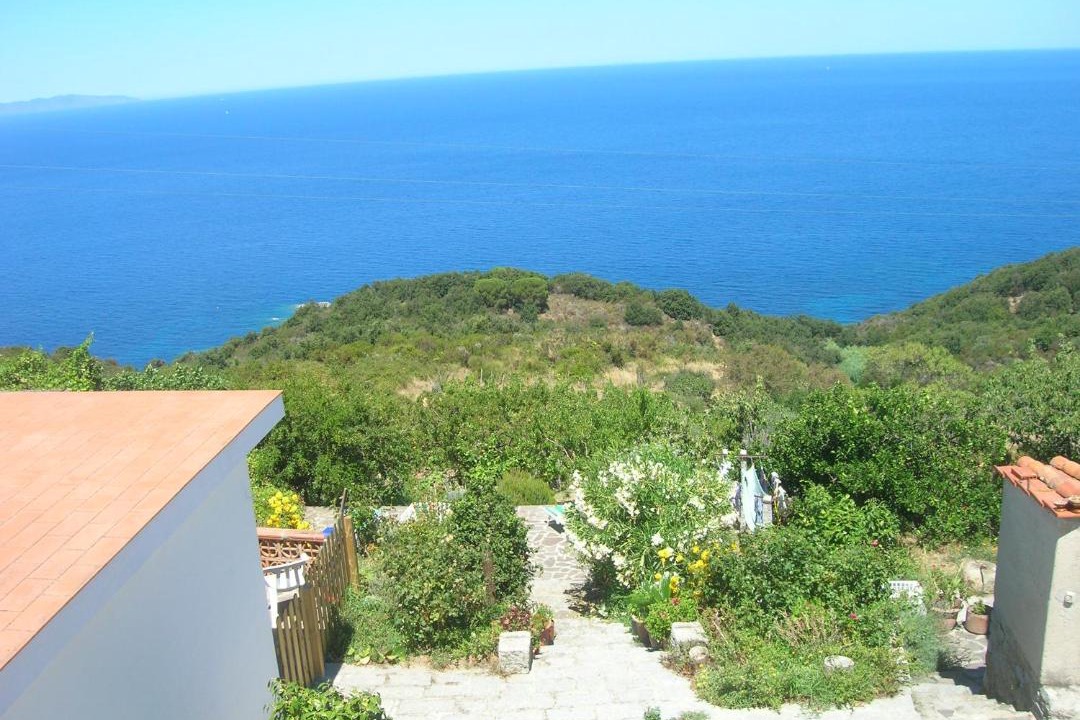 Photo of Others in Zanca