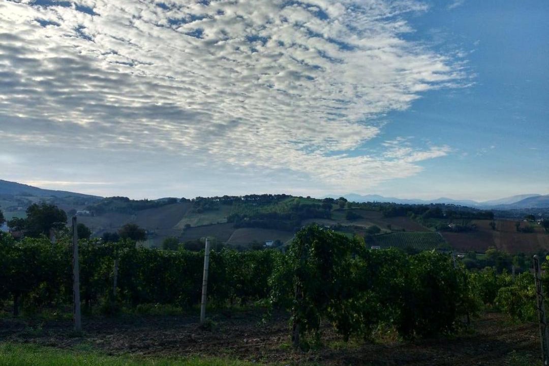 Photo of Others in Matelica