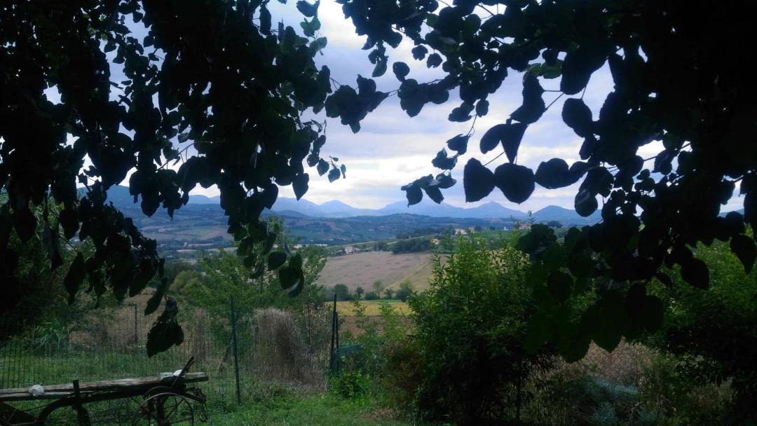 Photo of Others in Matelica