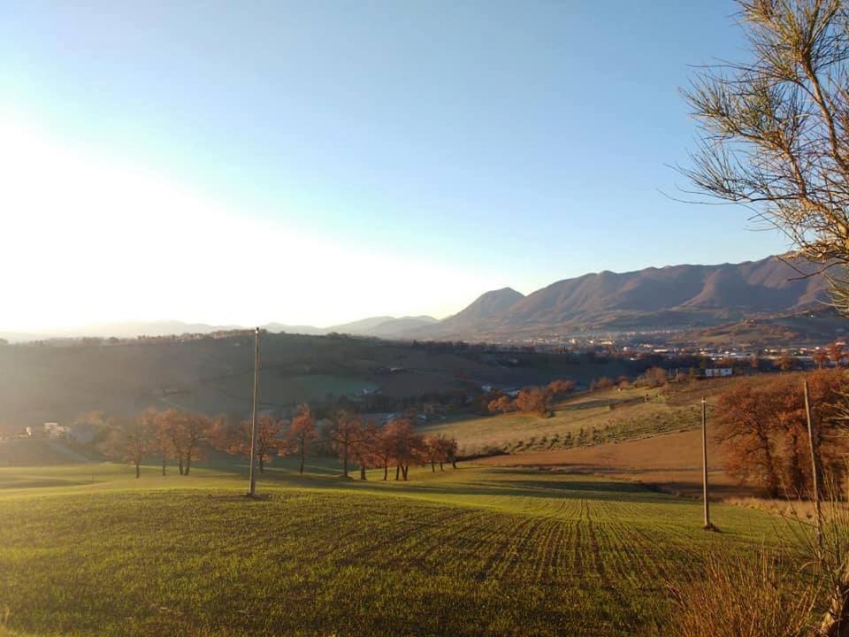 Photo of Others in Matelica