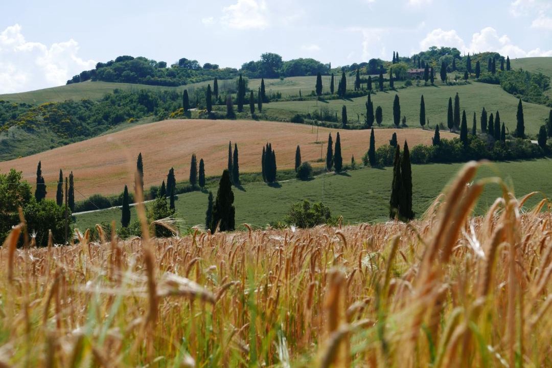 Photo of Others in Chianciano Terme