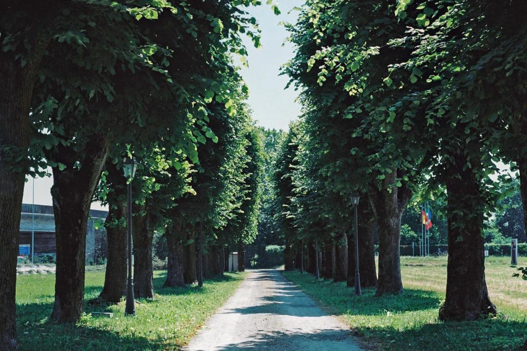 Photo of Others in Parma
