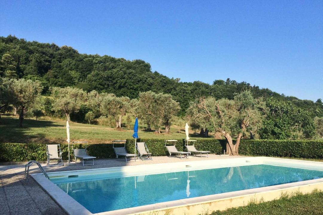 Photo of Others in Montescudaio