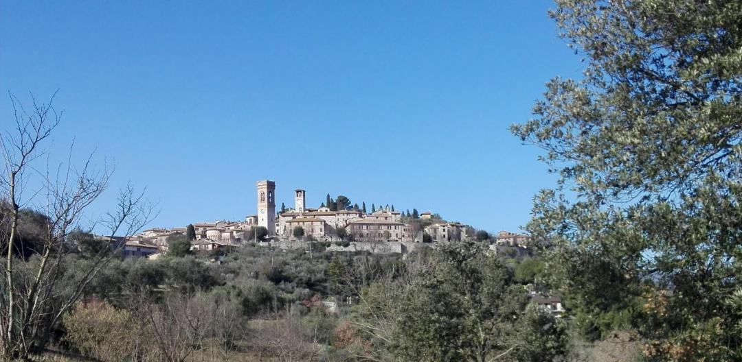 Photo of Others in Corciano