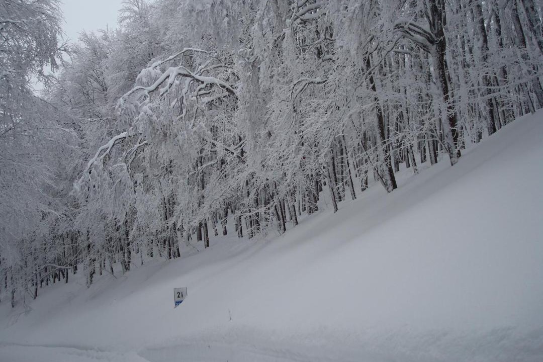 Photo of Others in Micigliano