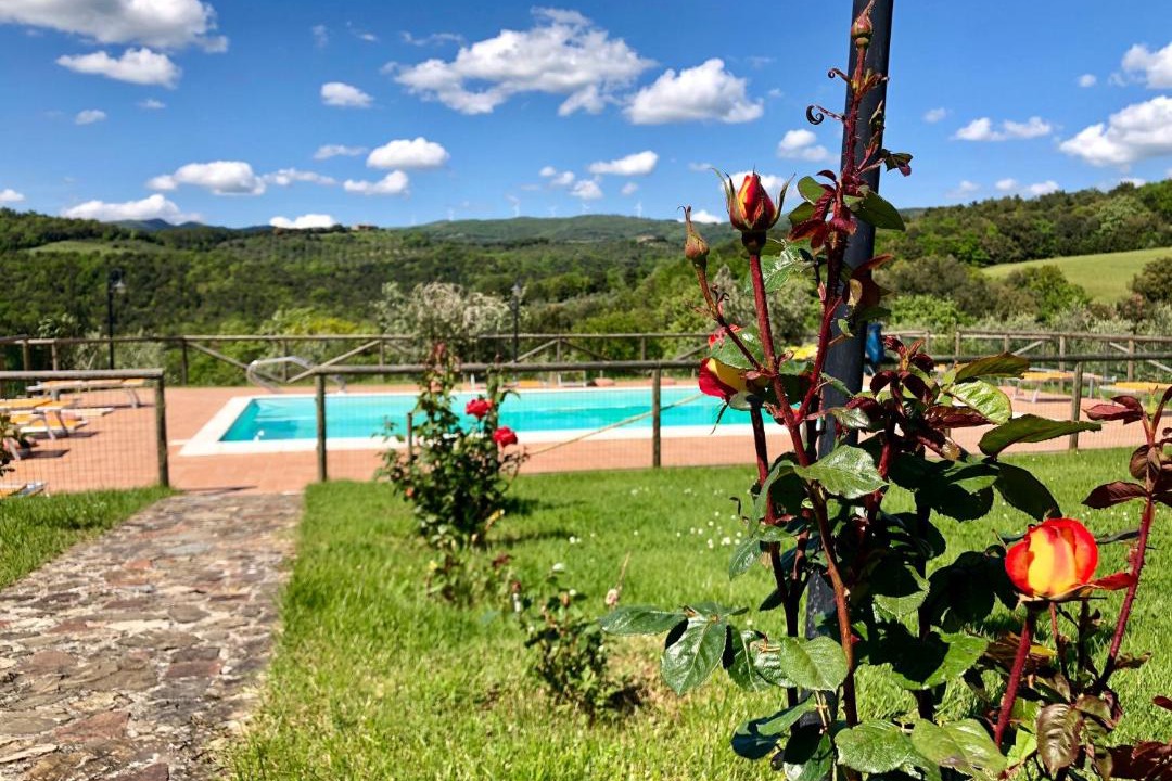 Photo of Others in Montecatini Val di Cecina