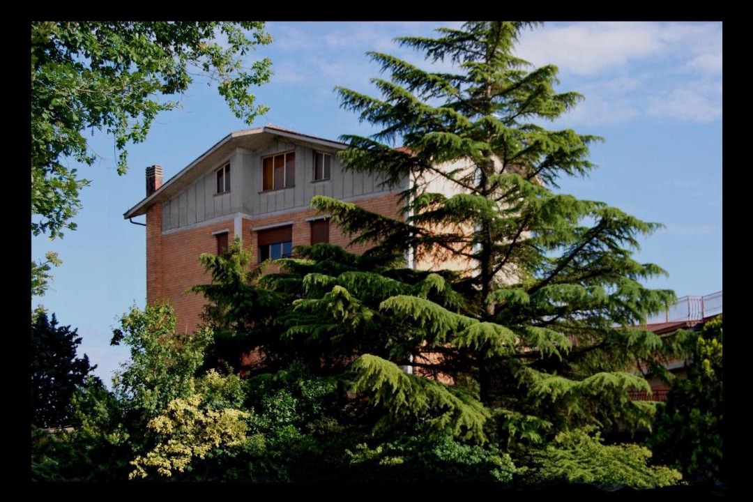 Photo of Others in Pietrauta