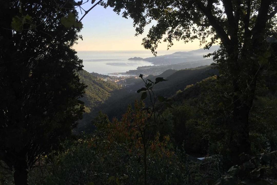 Photo of Outdoor in Rapallo