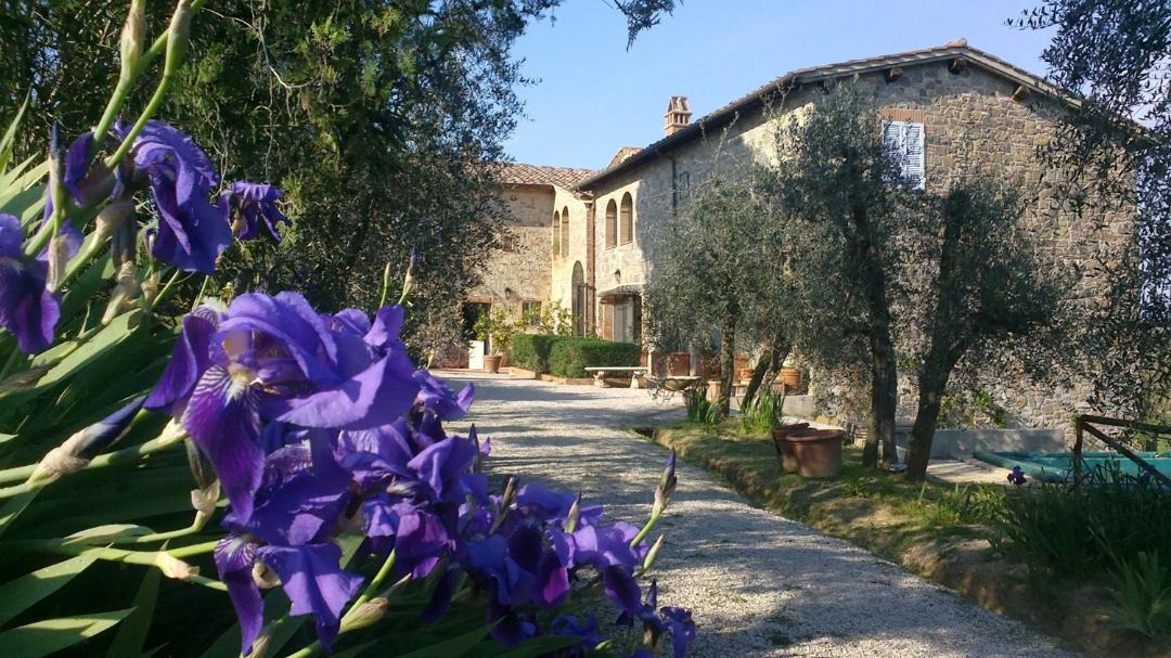 Photo of Others in Castelnuovo Berardenga