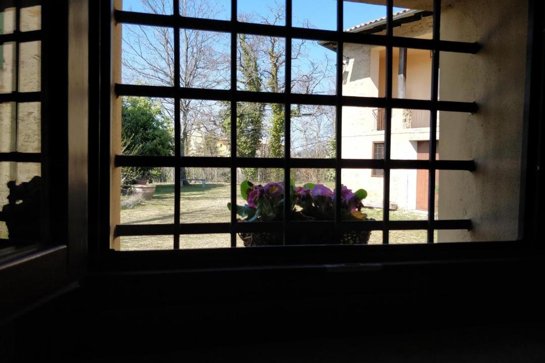 Photo of Others in Zocca