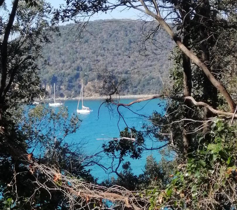Photo of Others in Castiglione della Pescaia