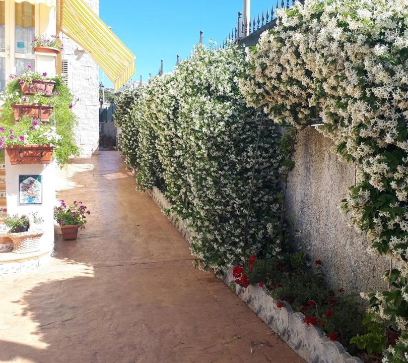 Photo of Others in Civitavecchia