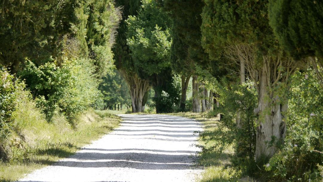 Photo of Others in Ponte d'Assi