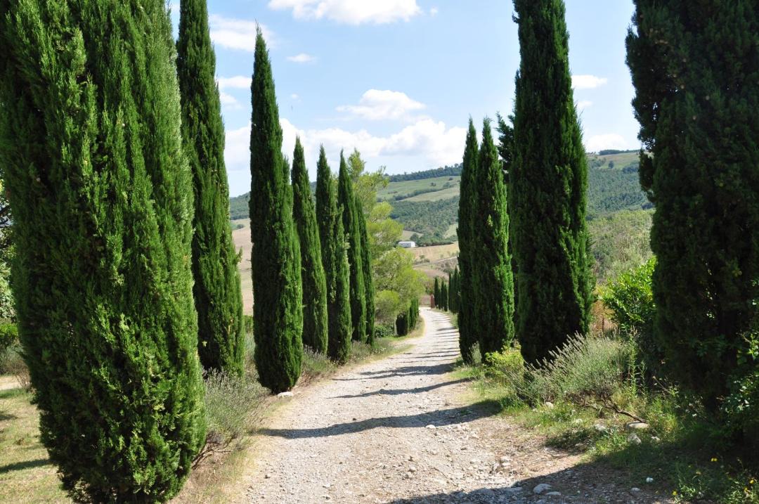Photo of Others in Il Poggio