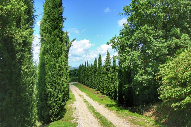 Photo of Others in Castiglione d'Orcia
