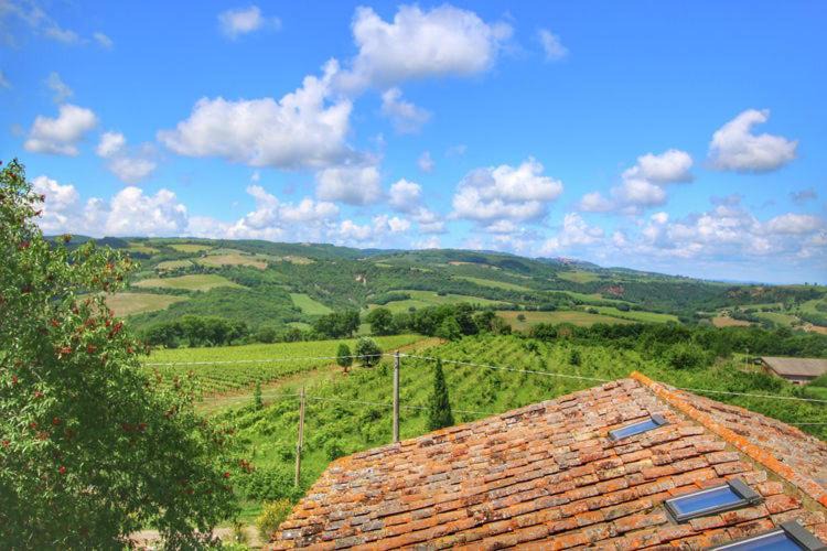 Photo of Others in Castiglione d'Orcia