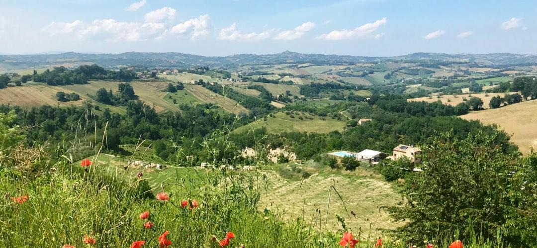 Photo of Others in Montottone