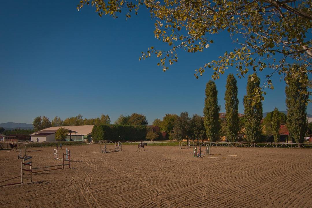 Photo of Others in Sansepolcro