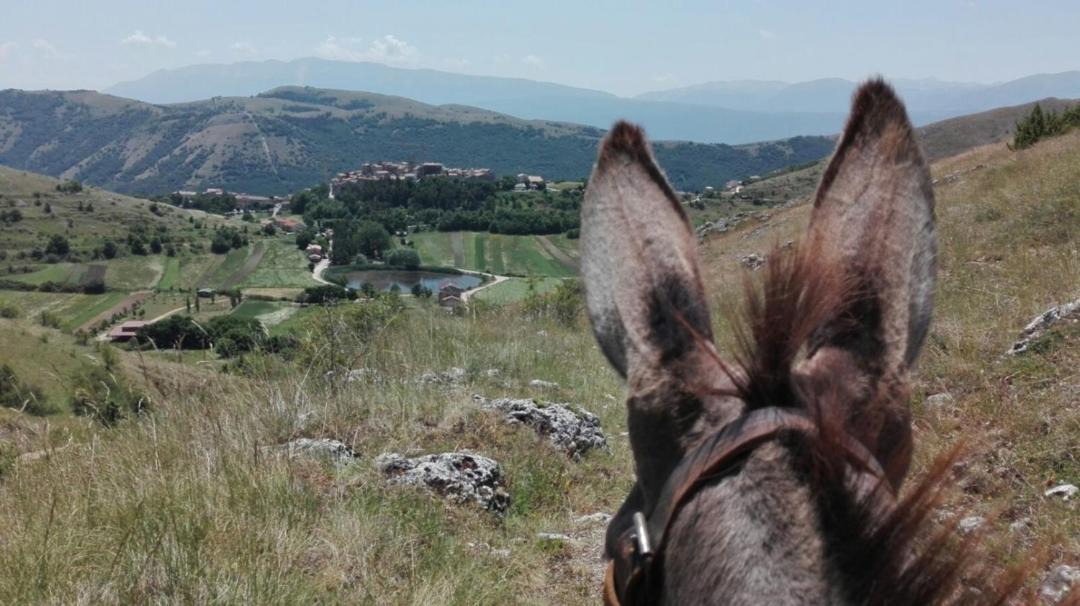 Photo of Others in Santo Stefano di Sessanio