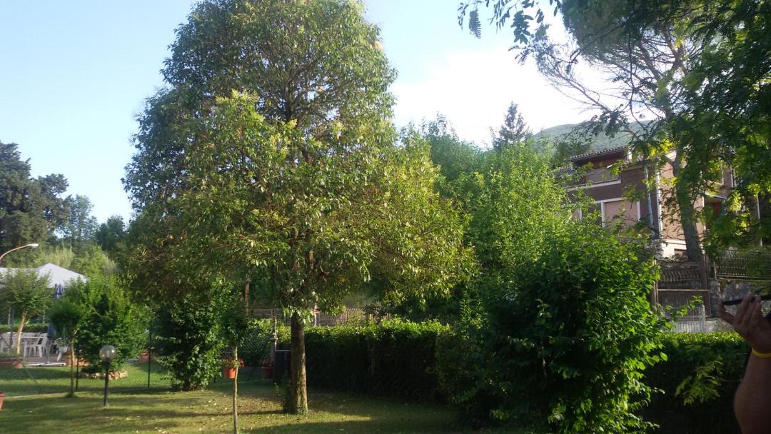 Photo of Others in Contigliano