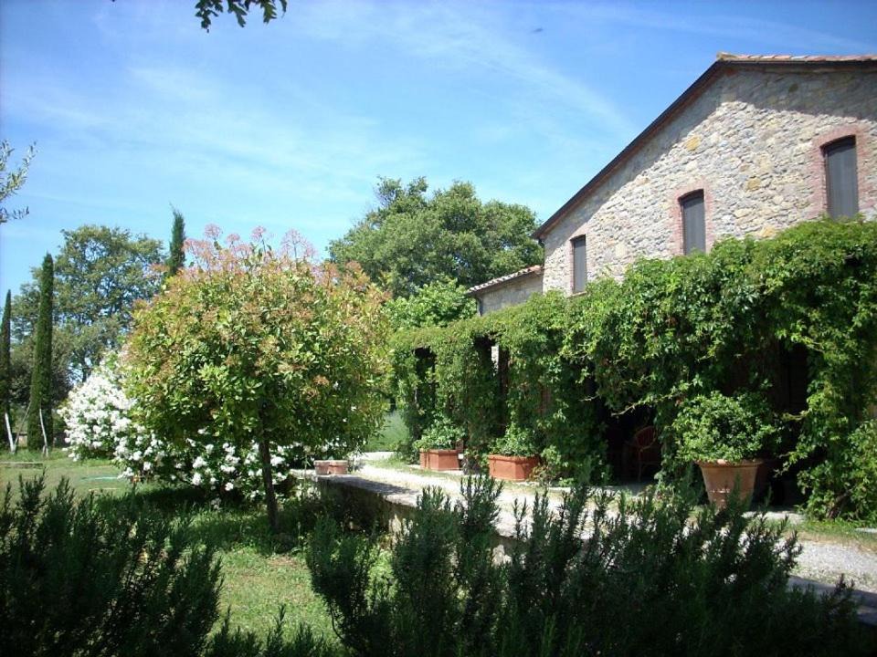 Photo of Others in Montegabbione