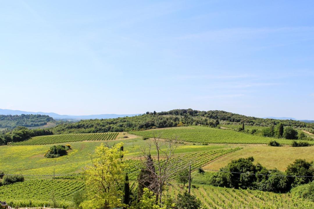 Photo of Others in San Gimignano