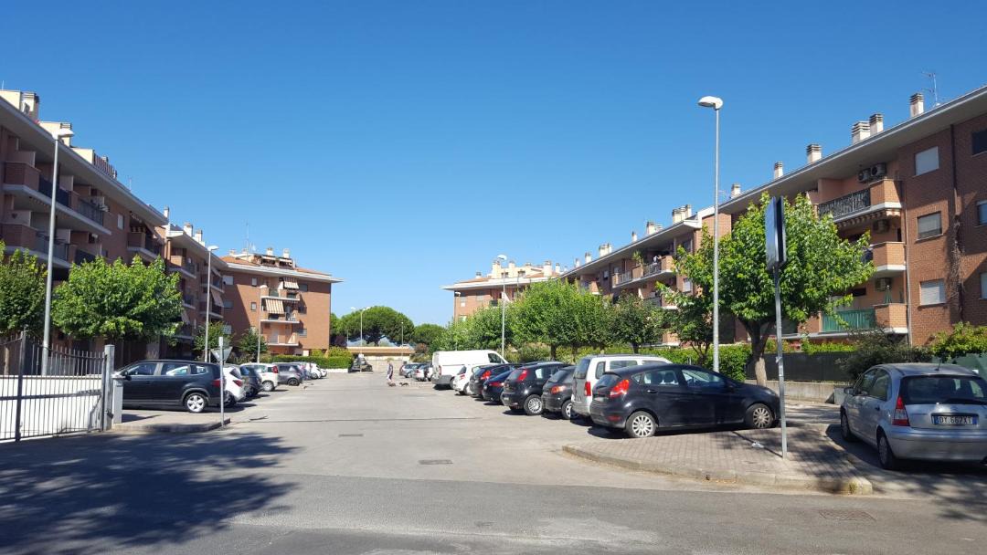 Photo of Others in Nettuno
