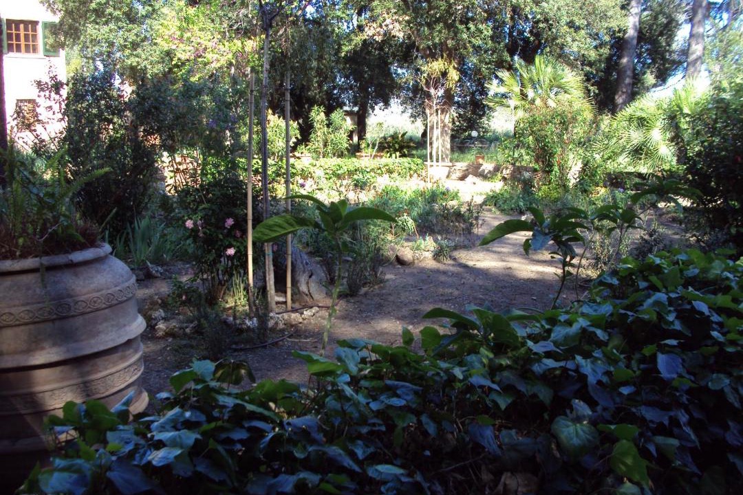 Photo of Others in Riotorto