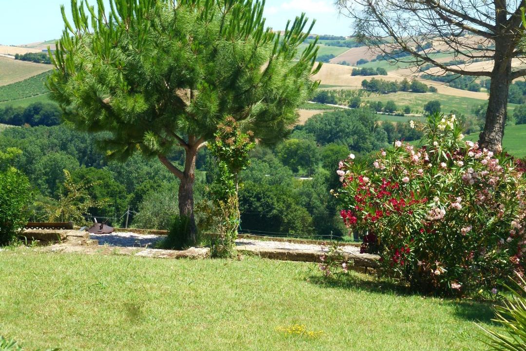 Photo of Others in Montecarotto