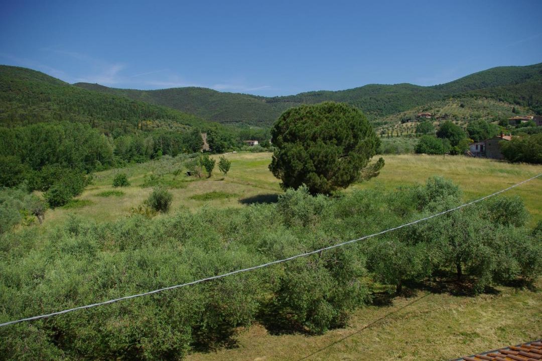 Photo of Others in Tuoro sul Trasimeno