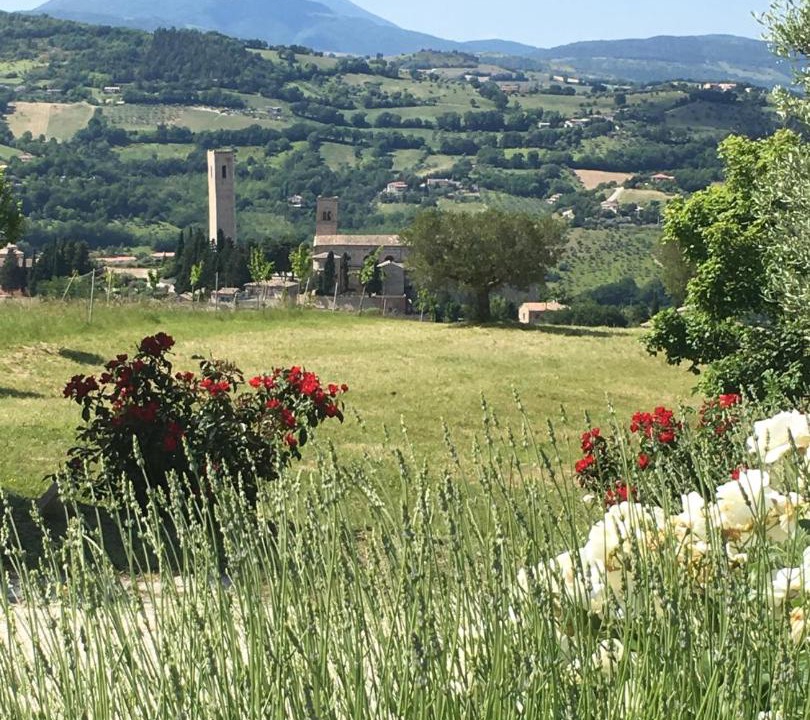 Photo of Others in San Severino Marche