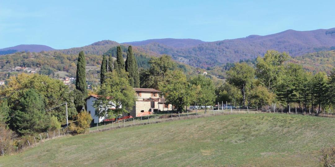 Photo of Others in Pratovecchio